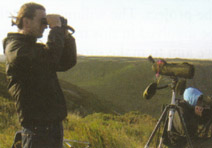 Birdwatching Birdwatching