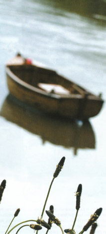 Boat Boat