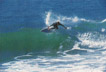 Surfing Surfing